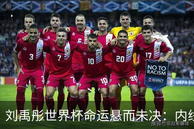 刘禹彤世界杯命运悬而未决：内线竞争白热化，功能互补成关键