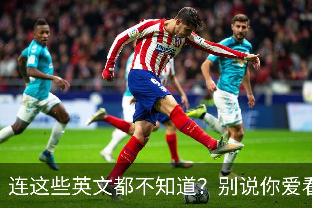 连这些英文都不知道？别说你爱看NBA！