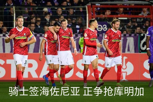 骑士签海佐尼亚 正争抢库明加